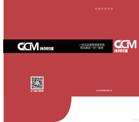 濟南企業(yè)品牌設計與視覺傳達 平面包裝與VI圖冊設計的價值與選擇